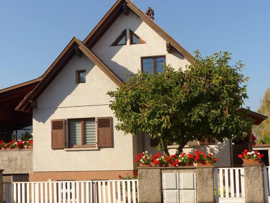Gite Spacieux Au Coeur De L'Alsace 3*** Selestat Luaran gambar