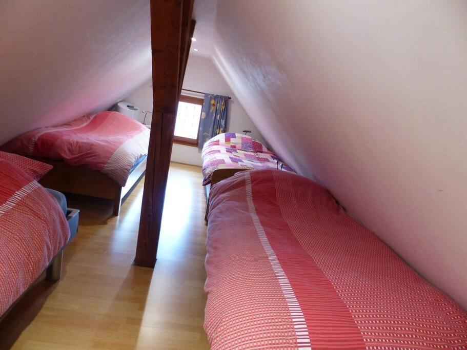 Gite Spacieux Au Coeur De L'Alsace 3*** Selestat Luaran gambar