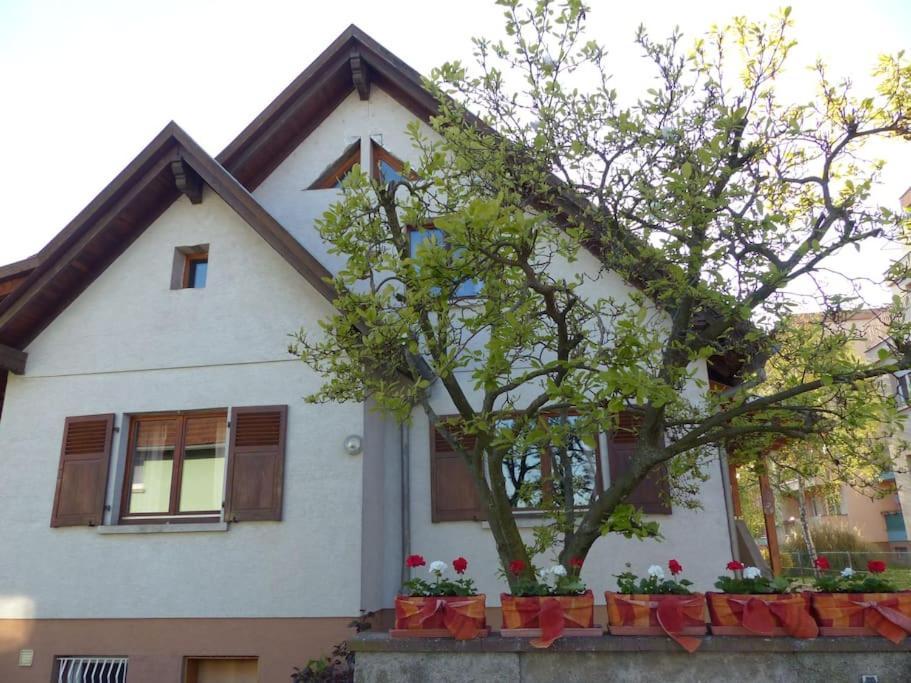 Gite Spacieux Au Coeur De L'Alsace 3*** Selestat Luaran gambar