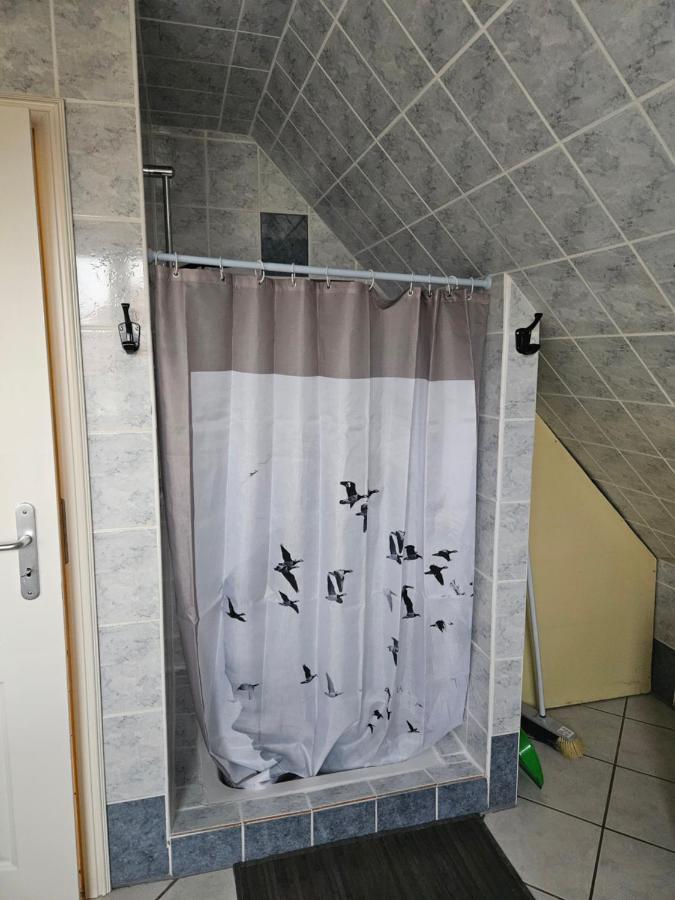Gite Spacieux Au Coeur De L'Alsace 3*** Selestat Luaran gambar