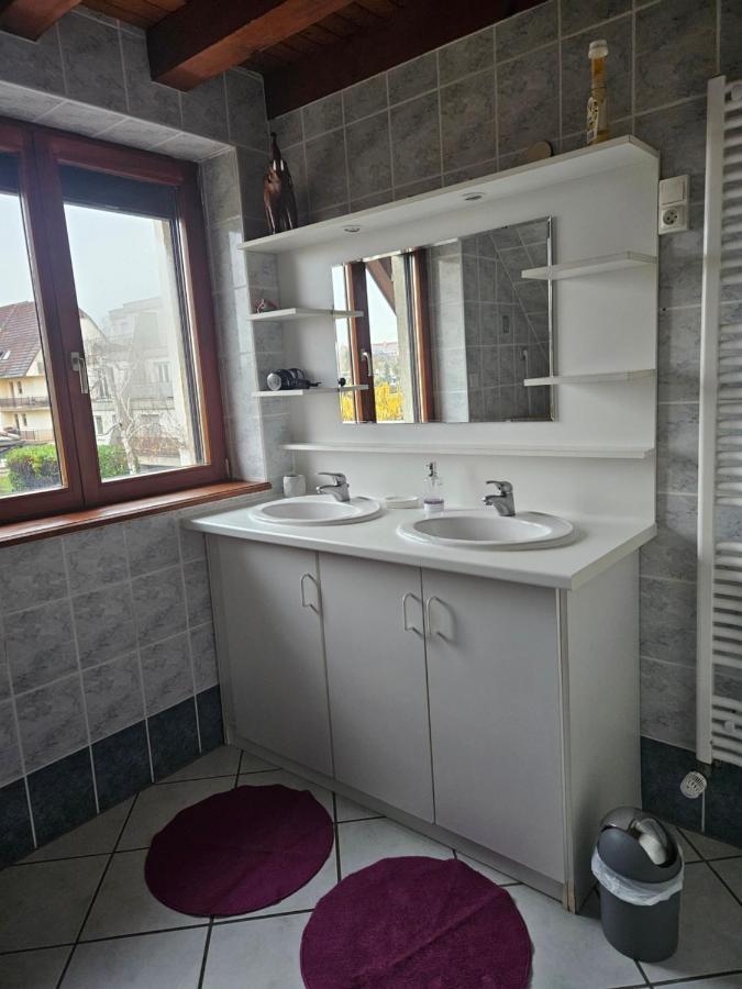 Gite Spacieux Au Coeur De L'Alsace 3*** Selestat Luaran gambar