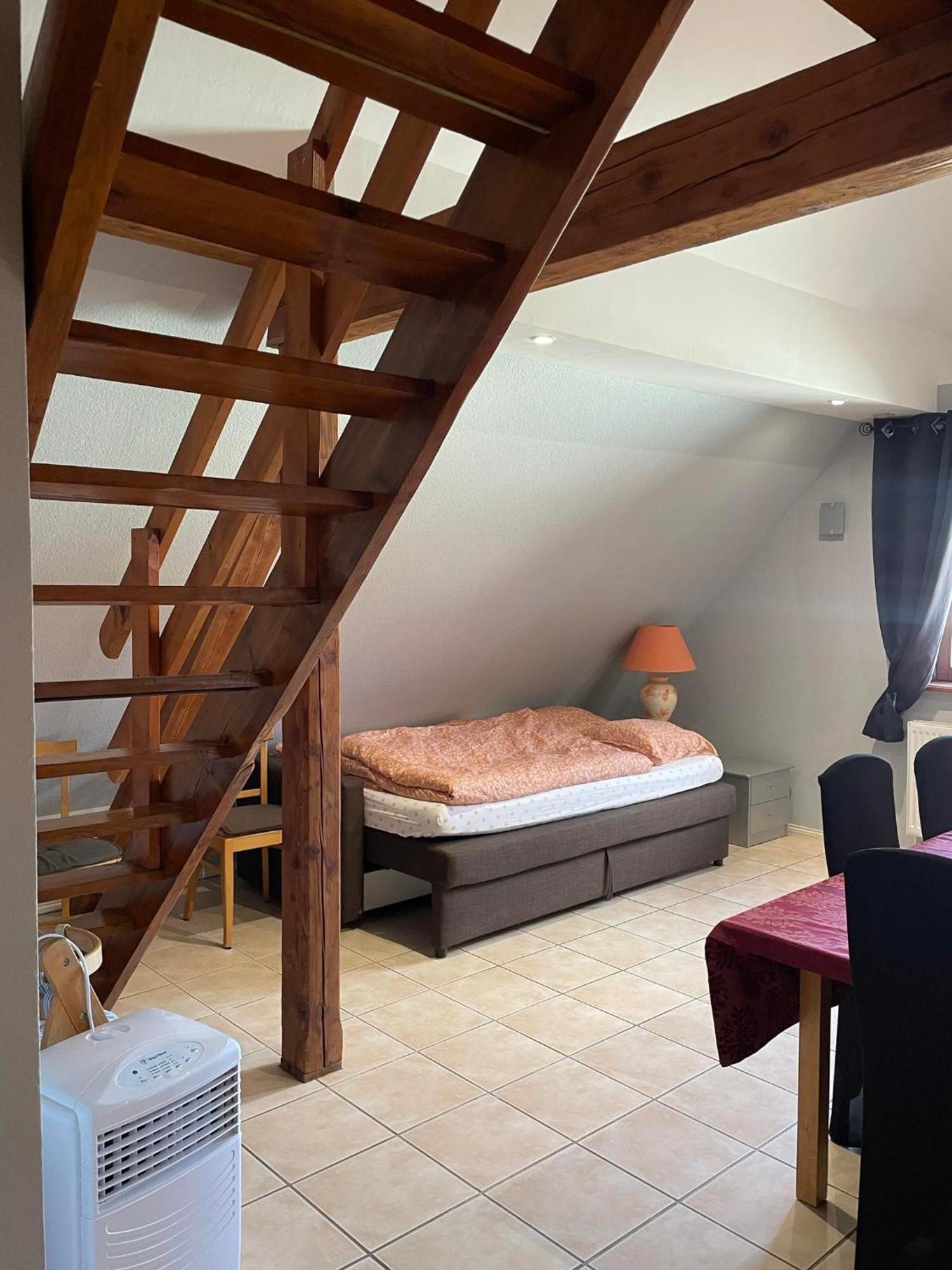 Gite Spacieux Au Coeur De L'Alsace 3*** Selestat Luaran gambar