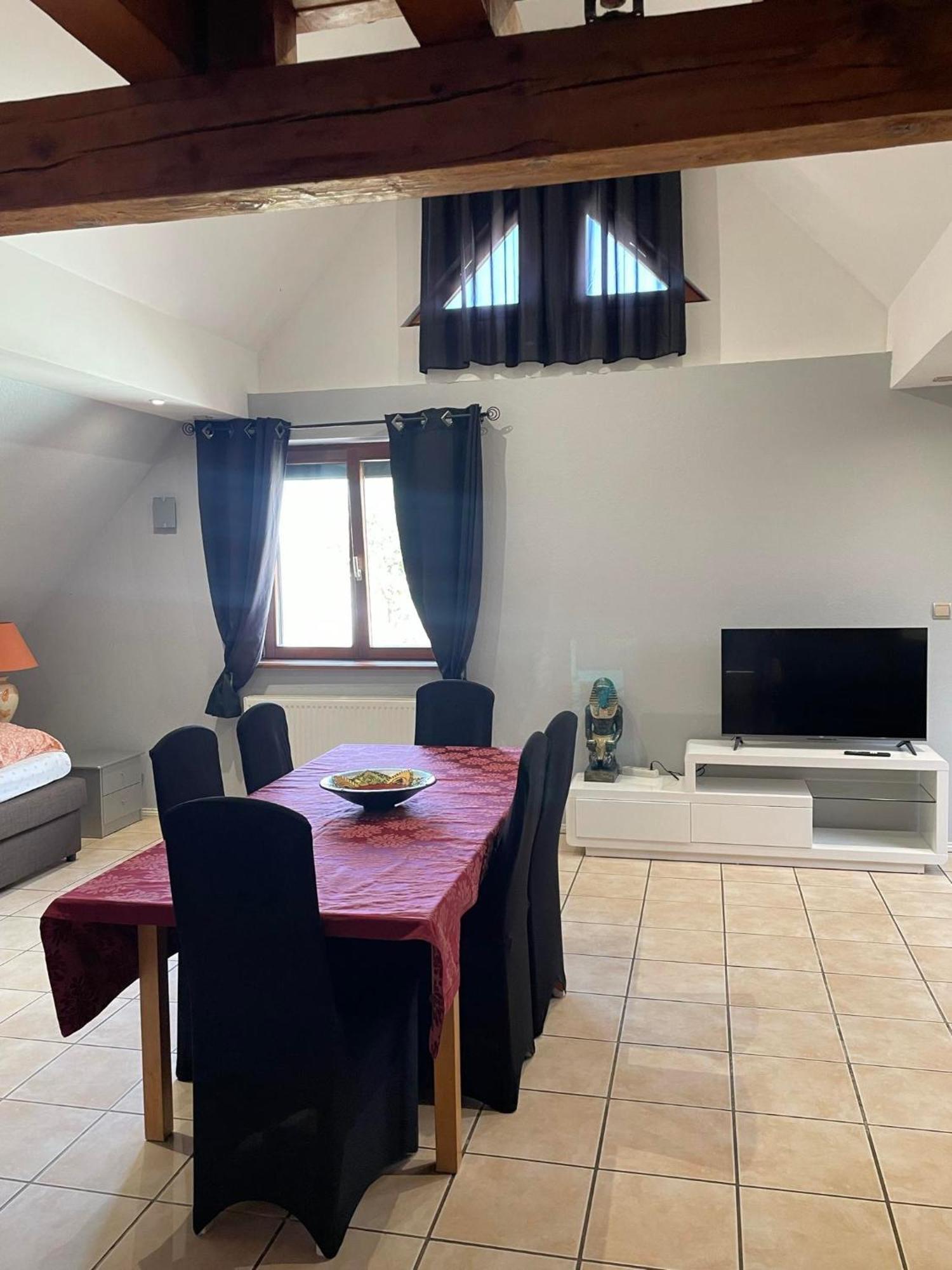 Gite Spacieux Au Coeur De L'Alsace 3*** Selestat Luaran gambar